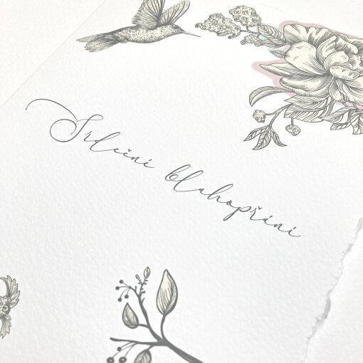 přání Kolibříci